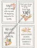 Birth Affirmations-Torah Birth- Whole Bible Believer Birth Affirmations